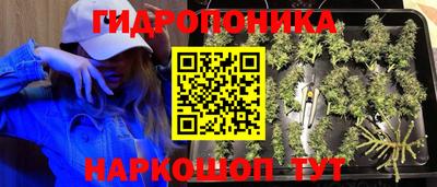 прущий лед Кингисепп
