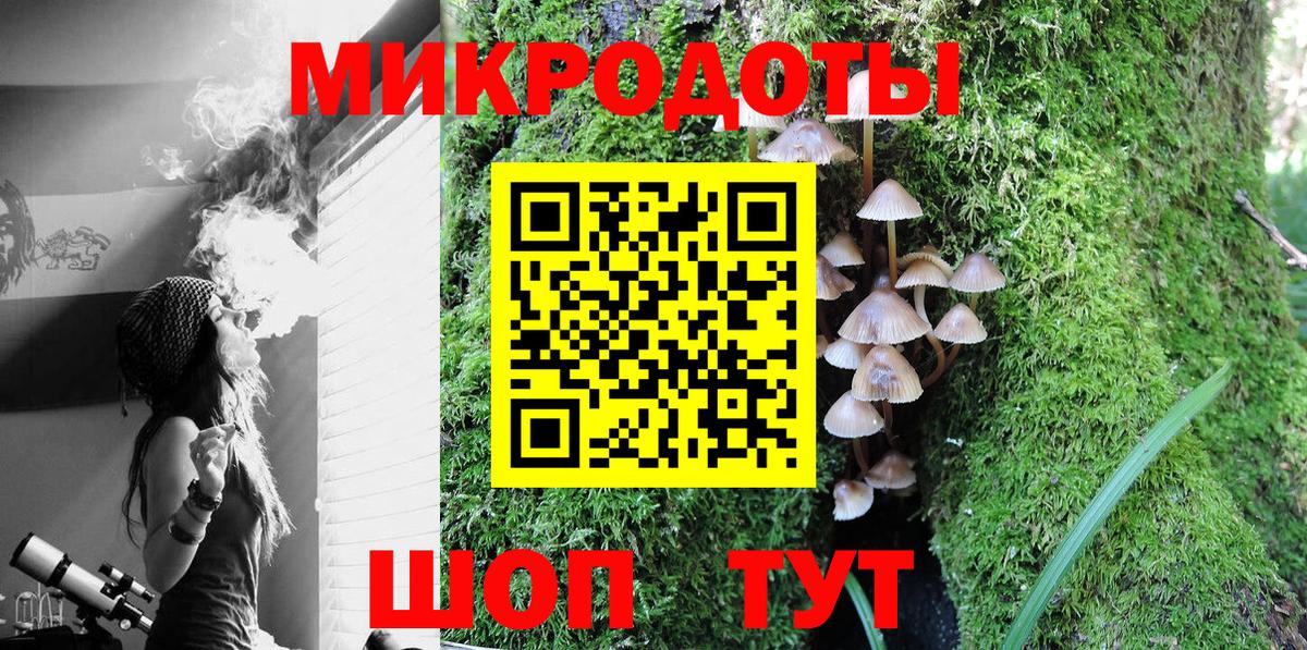 Псилоцибиновые грибы Cubensis Киров