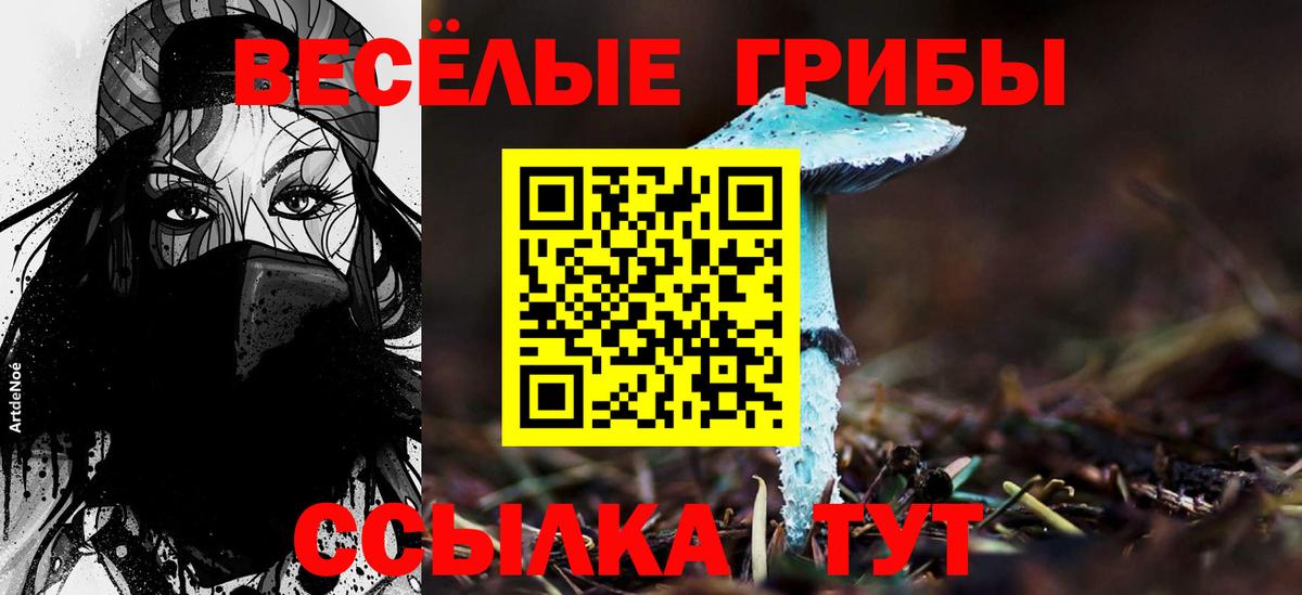 Мефедрон   Киров  Вход с VPN  МЕТ  ГАШИШ  Экстази  MDMA  COCAIN 
